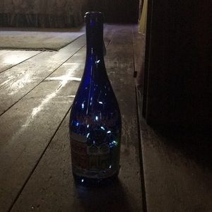 Fairy LED twinkling bottle lights with bottle.